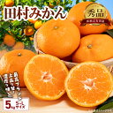 【ふるさと納税】田村みかん 約 5kg S ~ Lサイズ おまかせ 秀品 有田 高級みかん 高級 ギフトにもオススメ 贈り物 贈答 フルーツギフト フルーツ 果物 果実 みかん 温州みかん 有田みかん お取り寄せ 産地直送 送料無料 和歌山県 湯浅町