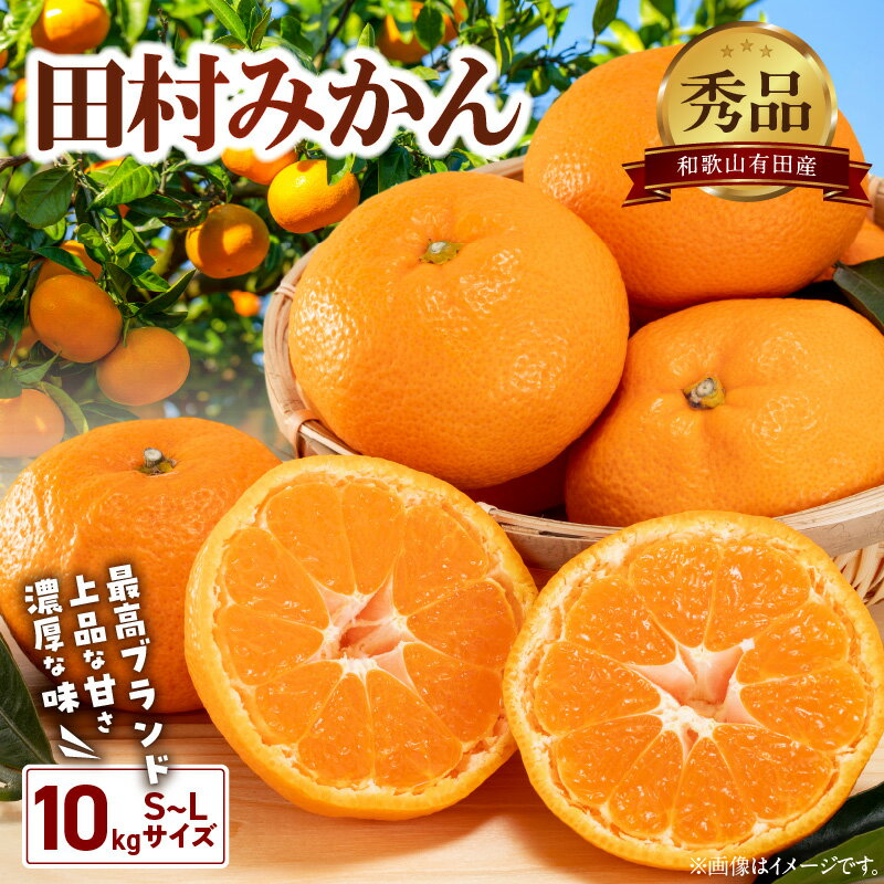 [2025年先行予約] 有田の高級みかん[田村みかん]秀品!たっぷり 10kg ギフトにもオススメ (S〜Lサイズおまかせ)[ミカン 蜜柑 柑橘 温州みかん 有田みかん 和歌山]