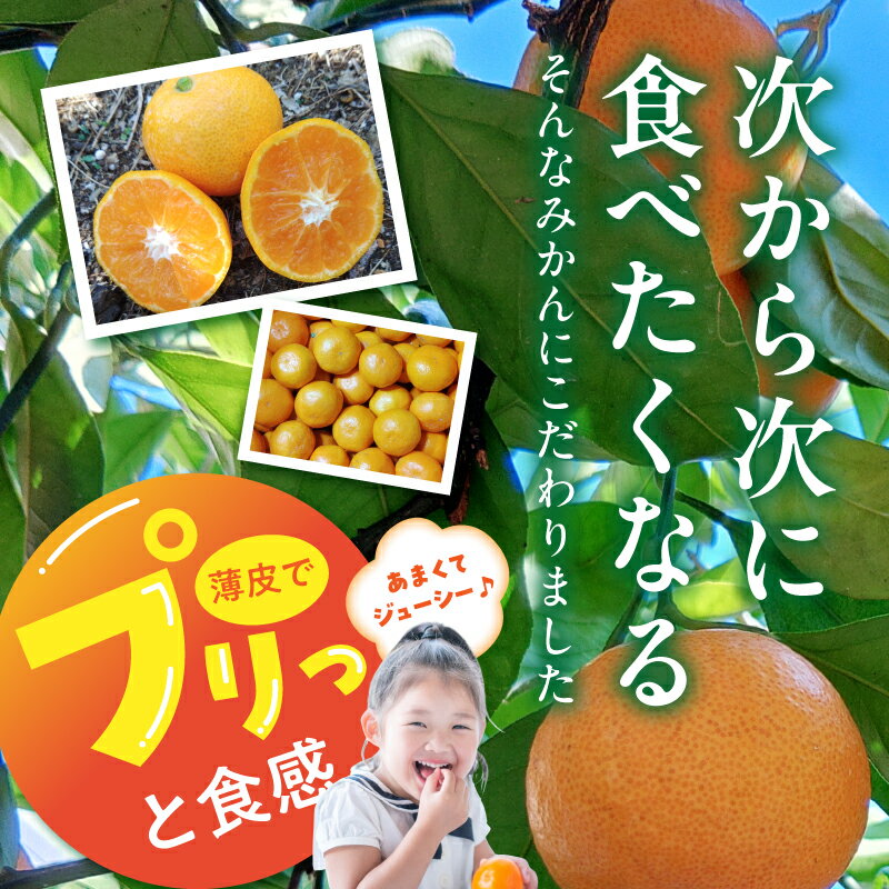 【ふるさと納税】【限定】【2025年先行予約】 庄助みかん 5kg 家庭用・サイズ混合【みかん ミカン 蜜柑 柑橘 温州みかん 和歌山 有田みかん】