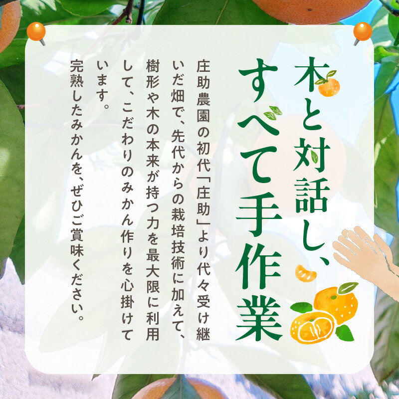 【ふるさと納税】【限定】【2025年先行予約】 庄助みかん 5kg 家庭用・サイズ混合【みかん ミカン 蜜柑 柑橘 温州みかん 和歌山 有田みかん】