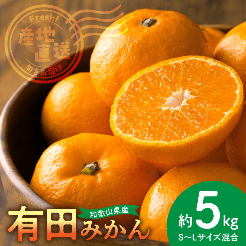 [2025年先行予約]産地直送 和歌山県産 有田みかん 5kg