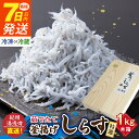 【ふるさと納税】【限定】《7日以内発送》 冷蔵 冷凍 選べる 紀州湯浅湾直送!特選 茹でたて釜揚げしらす 木箱 1kg