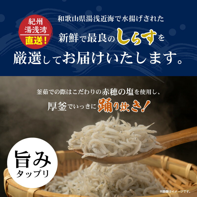 【ふるさと納税】紀州湯浅湾直送！茹でたて 釜揚げ しらす 1kg 箱入り【冷凍】