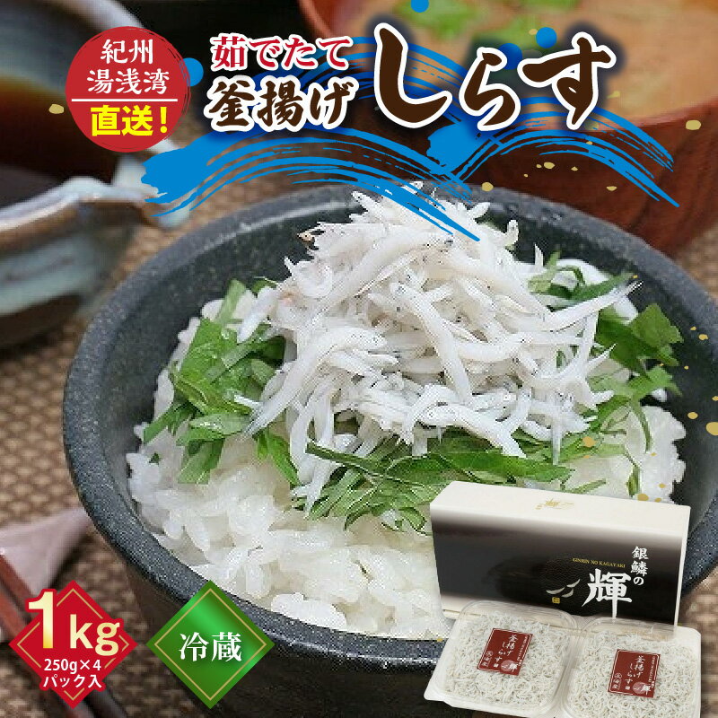 紀州湯浅湾直送!茹でたて釜揚げしらす 1kg(250g×4パック入)[冷蔵]