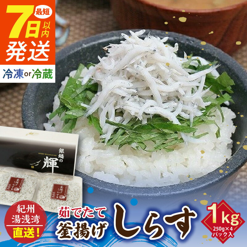 【ふるさと納税】《7日以内発送》 高評価★4.8 優良県産品 認定 釜揚げしらす 冷蔵 冷凍 選べる 1kg 250g × 4パック 茹でたて 釜揚げ しらす 無着色 安心 安全 赤穂の塩 新鮮 国産 海の幸 海鮮 魚介 紀州湯浅湾直送 まるとも海産 お取り寄せ 和歌山県 湯浅町 送料無料