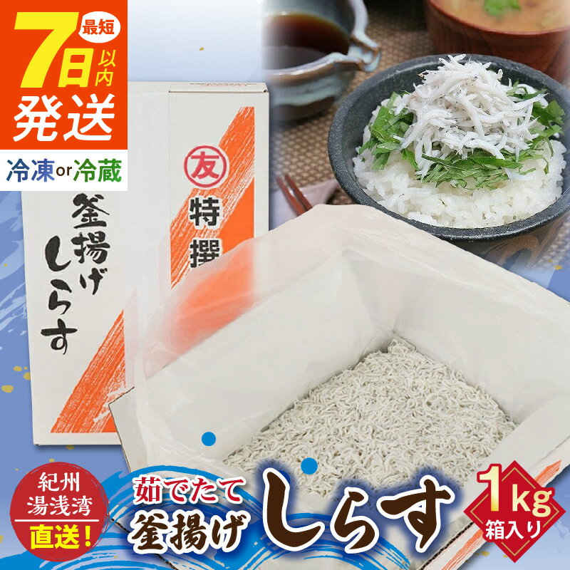 【ふるさと納税】【限定】 《7日以