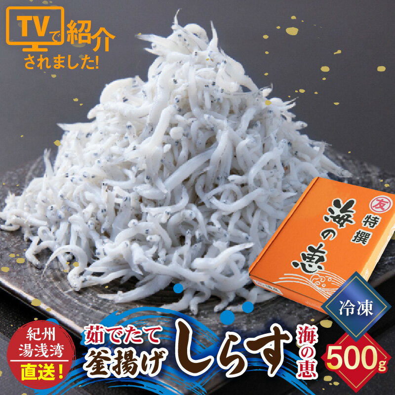 12位! 口コミ数「5件」評価「4.8」【冷凍】 茹でたて 釜揚げしらす 海の恵み 500g 紀州湯浅湾直送！【しらす干し ちりめんじゃこ シラス】