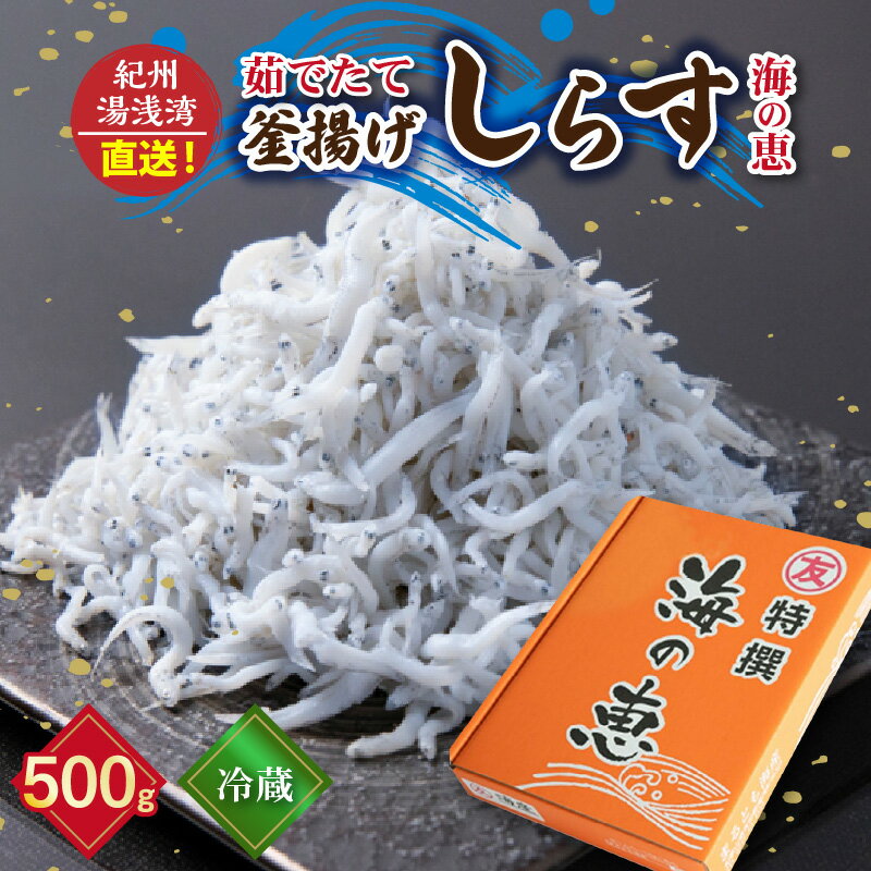 27位! 口コミ数「2件」評価「5」【冷蔵】 茹でたて 釜揚げしらす 海の恵み 500g 紀州湯浅湾直送！【しらす干し ちりめんじゃこ シラス】