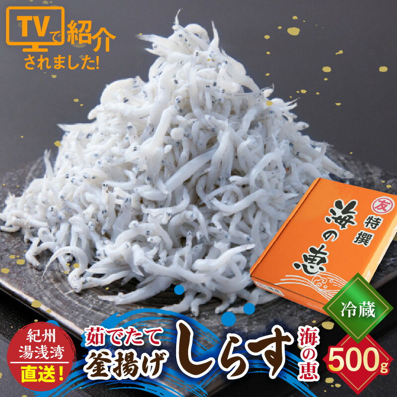 20位! 口コミ数「2件」評価「5」【冷蔵】 茹でたて 釜揚げしらす 海の恵み 500g 紀州湯浅湾直送！【しらす干し ちりめんじゃこ シラス】