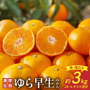 【ふるさと納税】【限定】【2025年先行予約】北真農園 有田みかん ゆら早生 濃厚完熟 3kg お試しサイズ (秀・優込み 2Sサイズ~Lサイズ混合) ORYY推奨(4)