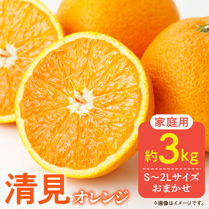 【ふるさと納税】【限定】 ご家庭用 きよみ 清見オレンジ 和歌山 有田 S～2Lサイズ 大きさお任せ 3kgのサムネイル
