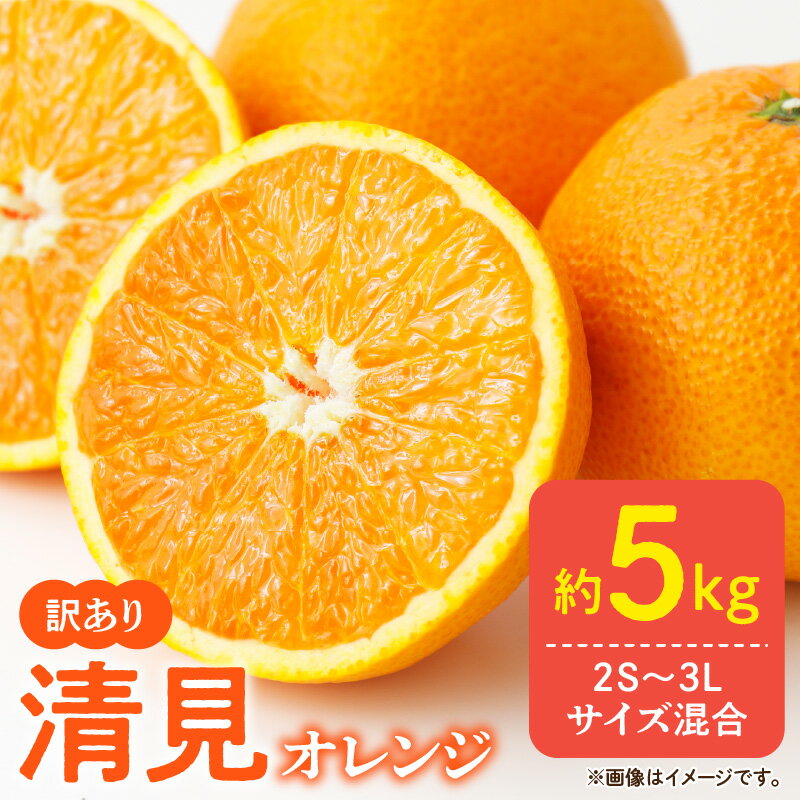【ふるさと納税】【限定】 訳あり きよみ 清見オレンジ 和歌山 有田 2S～3Lサイズ混合 5kgのサムネイル