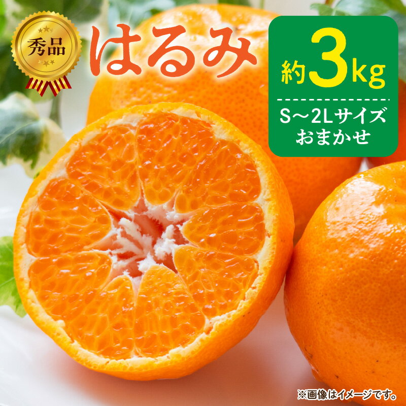 [限定][2026年先行予約] 秀品 はるみ 和歌山 有田 S〜2Lサイズ 大きさお任せ 3kg