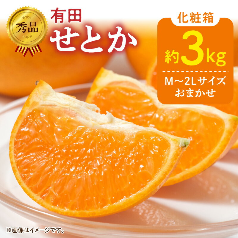【ふるさと納税】【限定】【2026年先行予約】秀品 せとか 和歌山 有田 化粧箱 M～2Lサイズ 大きさお任せ 3kg