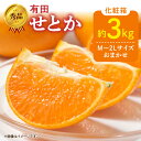 【ふるさと納税】【限定】【2026年先行予約】秀品 せとか 和歌山 有田 化粧箱 M~2Lサイズ 大きさお任せ 3kg