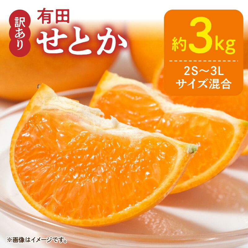 [限定] [2026年先行予約] 訳あり せとか 約3kg 2S〜3Lサイズ混合 ブランド 有田産 味 深み 濃厚 果汁 国産 果物 フルーツ 果実 食品 食べ物 おやつ デザート お取り寄せ お取り寄せフルーツ 和歌山県 湯浅町 送料無料