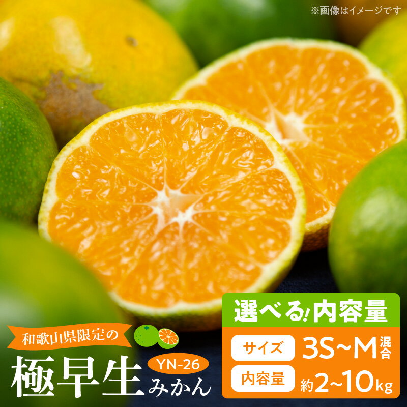 (先行予約)和歌山県限定の極早生みかん 容量選べる (YN-26 大小混合)
