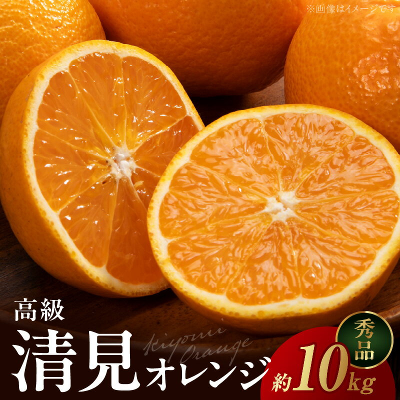 [限定] 清見オレンジ 約 10kg 秀品 高級 厳選 大きい 果実 さっぱり 甘み みずみずしい 香り ジューシー 爽やか 丁寧 箱詰め 贈り物 ギフト 贈答 清見 オレンジ 有田 みかん 果物 フルーツ デザート 食品 お取り寄せ 和歌山県 湯浅町 送料無料