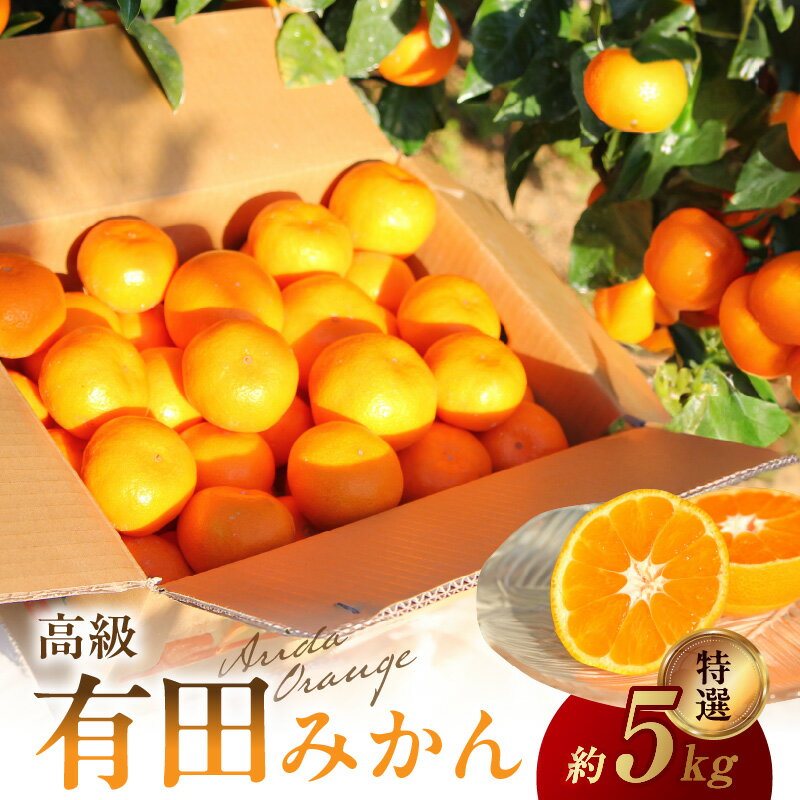 [限定]特選 高級有田みかん 5kg