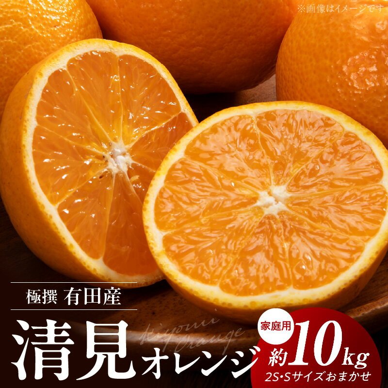 [限定]極撰 有田産清見(地区厳選)10kg サイズおまかせ(2S・S)