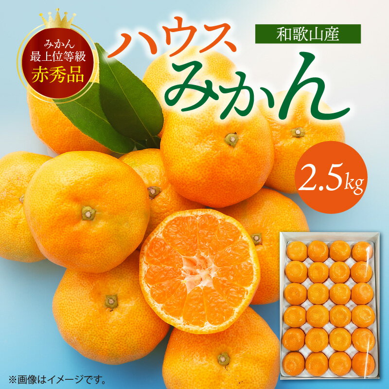 【ふるさと納税】紀州和歌山 ハウスみかん 2.5kg 赤秀品【ミカン 蜜柑 柑橘 温州みかん 有田みかん】