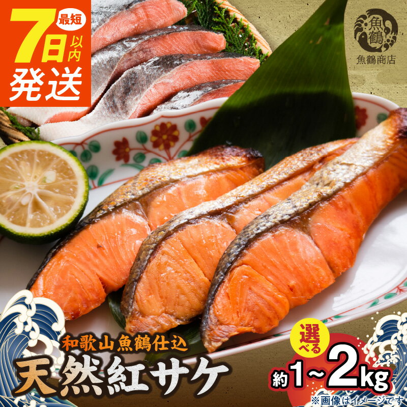 【ふるさと納税】【限定】 《7日以