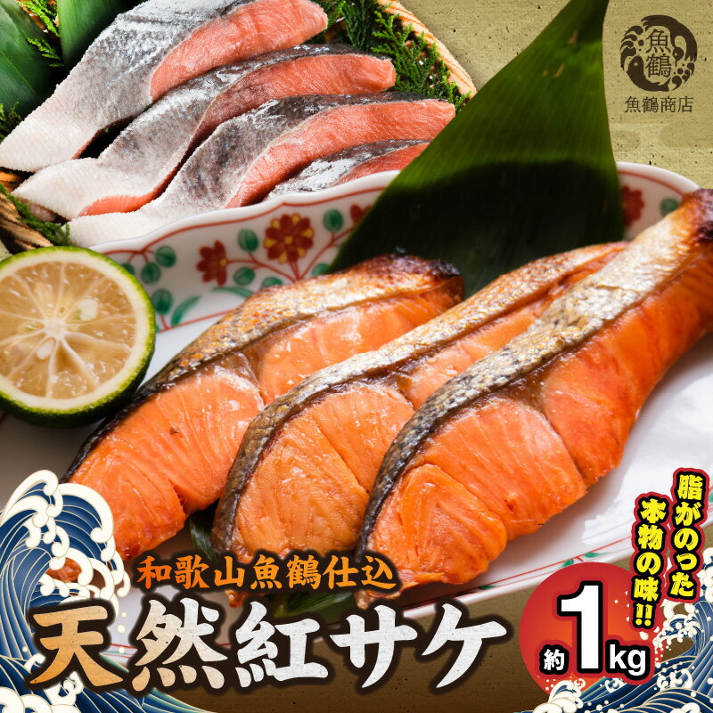 【ふるさと納税】脂と旨みたっぷり！魚鶴仕込の天然 紅サケ 紅鮭 鮭 サーモン 切身 切り身 約1kg レビュー高評価【さけ しゃけ シャケ 魚】のサムネイル