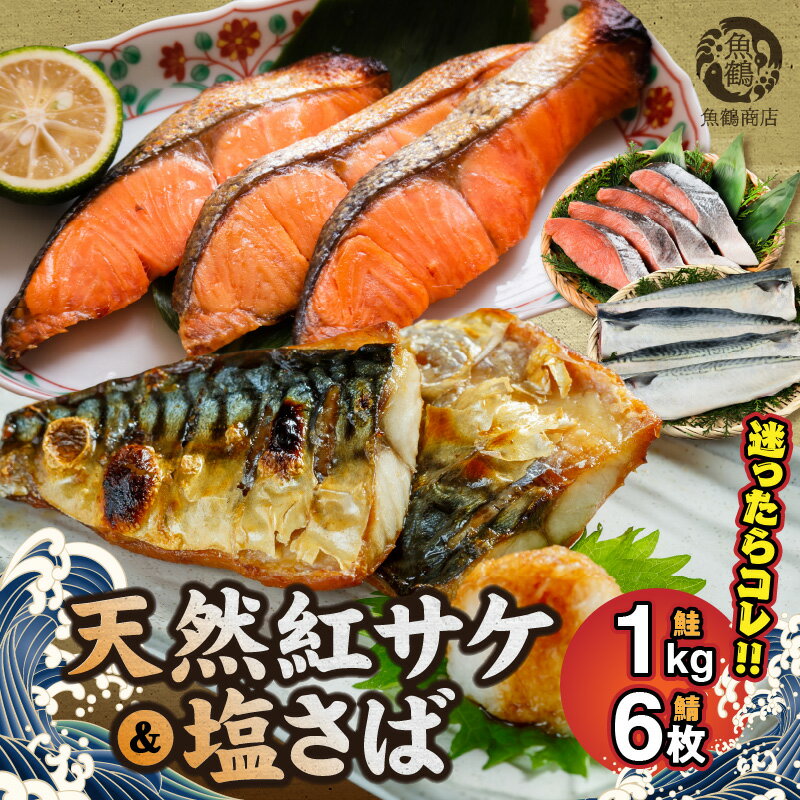 【ふるさと納税】【限定】 天然 紅サケ 1kg & 塩さば 6枚 セット 切身 フィレ 選りすぐり 鮭 鯖 魚 海の幸 海鮮 魚介 食品 食べ物 おかず 料理 水産加工品 お取り寄せ 魚鶴商店 冷凍 和歌山県 湯浅町 送料無料のサムネイル