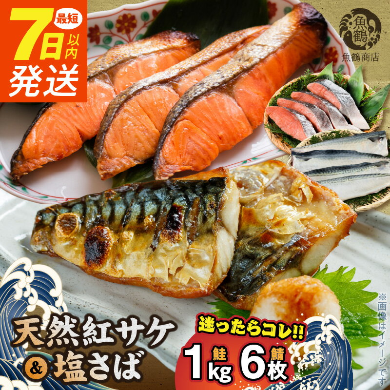 【ふるさと納税】【限定】 《7日以