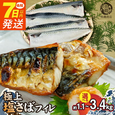 【ふるさと納税】 《7日以内発送》 《選べる配送月》 リピーター続出! 高評価★4.75 塩さば フィレ 選べる 8枚 ~ 24枚入 真空パック 切り身 おかず 肉厚 焼くだけ 簡単 万能 さば 魚介 海鮮 海の幸 海産物 水産加工品 食品 食べ物 冷凍 グルメ お取り寄せ 送料無料 - Image 1