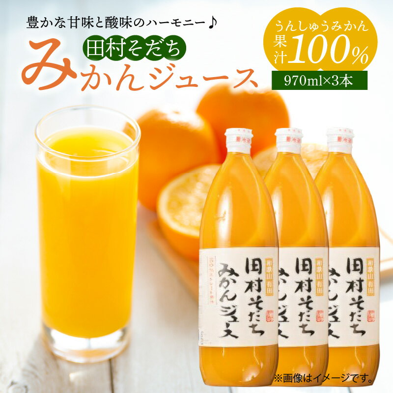 【ふるさと納税】果汁100％ 田村そだち みかんジュース 970ml×3本【和歌山 ミカンジュース ストレート 果汁100%】