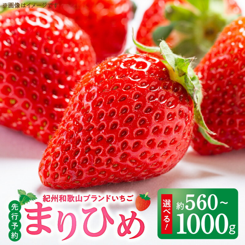 [限定] 紀州 和歌山 ブランド いちご まりひめ 選べる 内容量 約 560~1000g