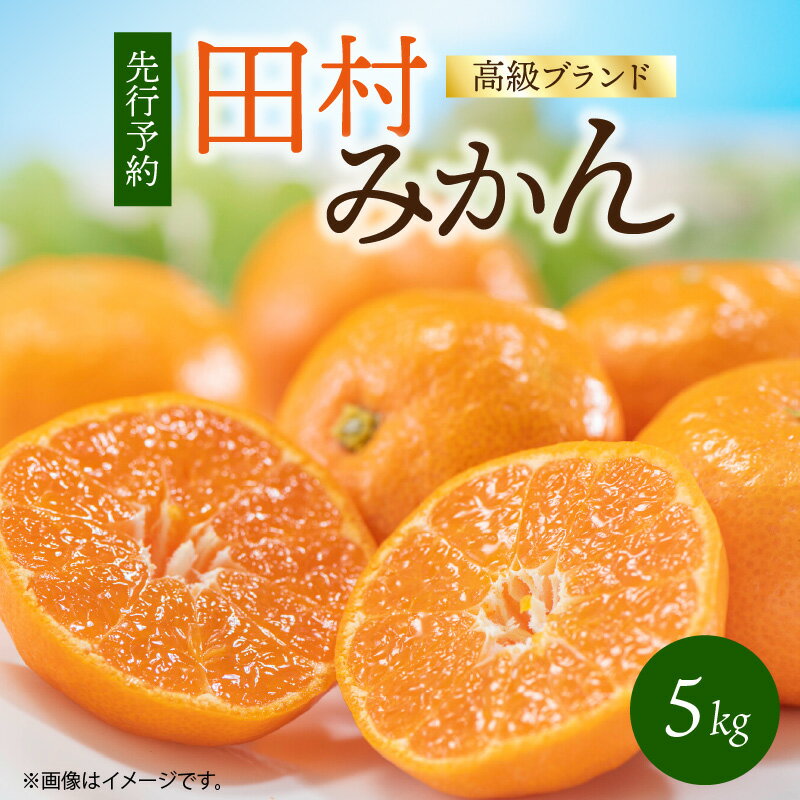 田村みかん 5kg 高級ブランド 有田みかん 温州みかん みかん 柑橘 果物 フルーツ 果実 濃厚 甘い コク ミネラル 酸味 甘味 国産 食品 食べ物 お取り寄せ 和歌山県 湯浅町 送料無料