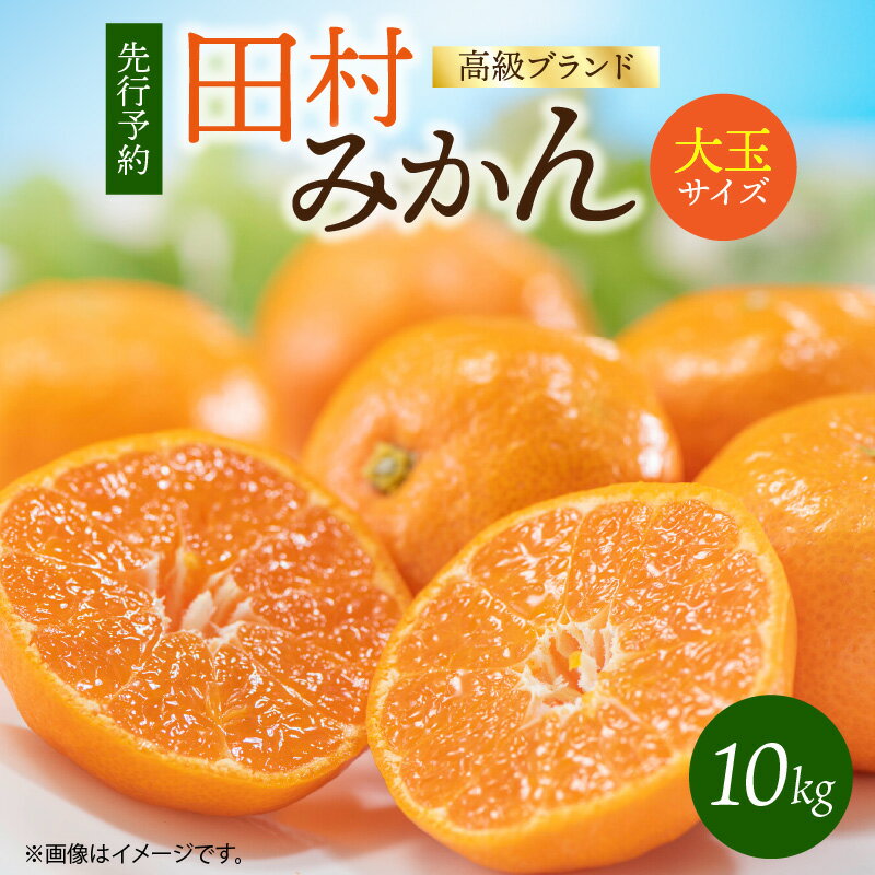【ふるさと納税】【限定】 【2024年 先行予約】高級ブランド 田村みかん 10kg 大玉サイズ【ミカン 蜜柑 柑橘 温州みかん 有田みかん 和歌山】のサムネイル