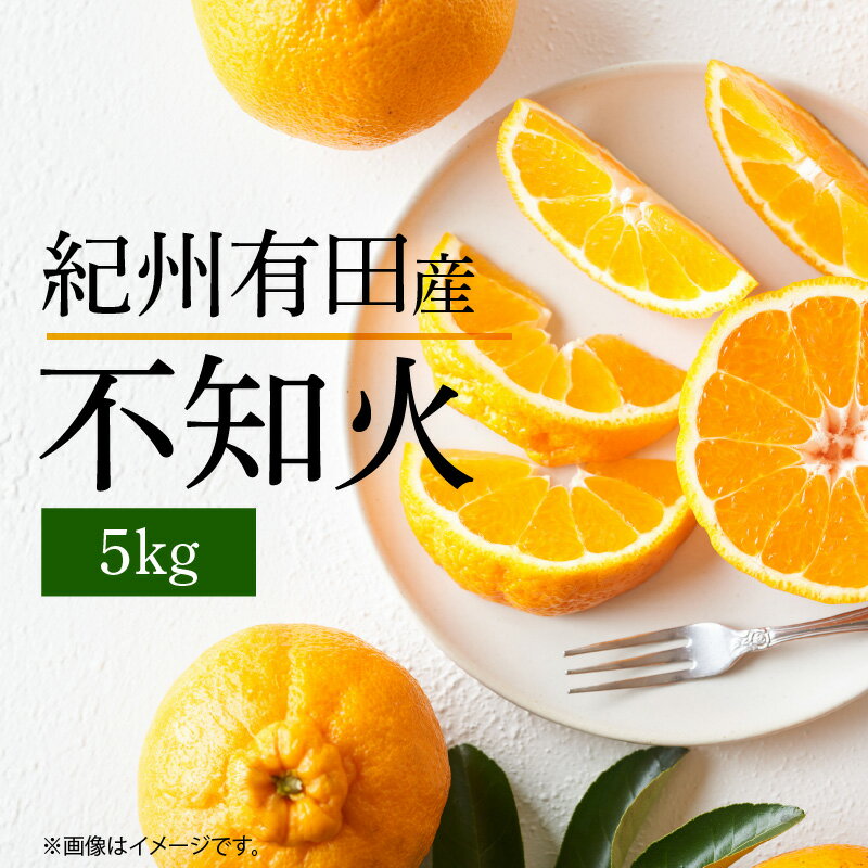 【ふるさと納税】【先行予約】不知火 5kg デコポン 柑橘の王様 甘い プリプリ ジューシー 濃厚 フルーツ 果実 果物 柑橘 紀州有田産 国産 食品 食べ物 お取り寄せ 魚鶴商店 和歌山県 湯浅町 送…