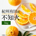 【ふるさと納税】【先行予約】紀州有田産 不知火 しらぬひ 5kg【でこぽん デコポン しらぬい 不知火 柑橘】