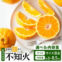 【ふるさと納税】【限定】 【2026年先行予約】 紀州有田産 不知火 (しらぬい) 選べる 容量 3kg ~ 8.5kg サイズ混合 【家庭用 訳あり】 デコポン フルーツ デザート 柑橘 果物 果実 みかん お取り寄せ 和歌山県 湯浅町 送料無料