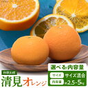 【ふるさと納税】【限定】【2026年先行予約】 オレンジ 清見オレンジ 選べる 容量 約 2.5kg 5kg サイズ おまかせ フルーツ 果物 柑橘 果実 甘い 果汁 ジューシー コク 柑橘の親 国産 食品 食べ物 魚鶴商店 平成の三大柑橘 お取り寄せ 和歌山県 湯浅町 送料無料