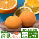 【ふるさと納税】【限定】 【2026年先行予約】紀州有田産 清見 オレンジ 選べる 容量 5kg ~ 7.5kg 【家庭用 訳あり】 タンゴール みかん 柑橘 フルーツ 果物 デザート 果実 お取り寄せ 和歌山県 湯浅町 有田 送料無料