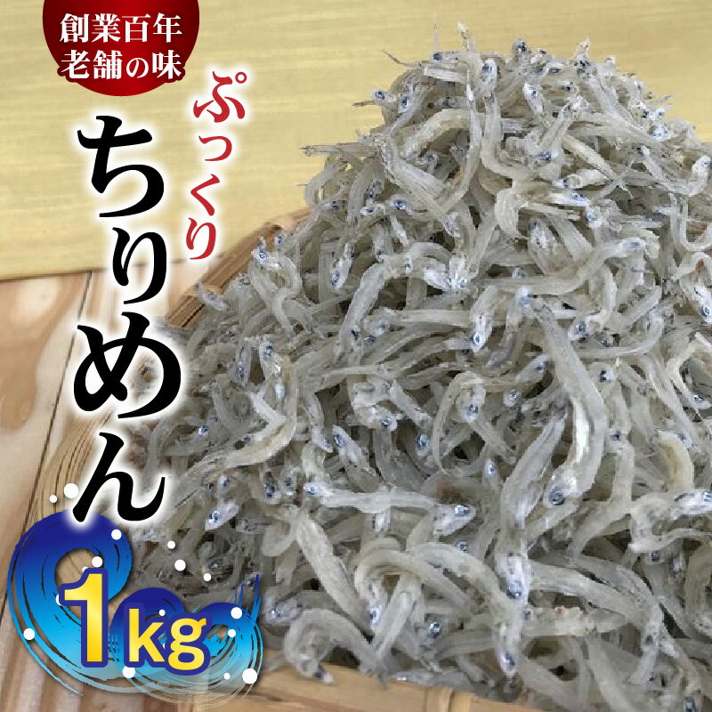 【ふるさと納税】ぷっくり ちりめん 1kg【しらす干し ちり