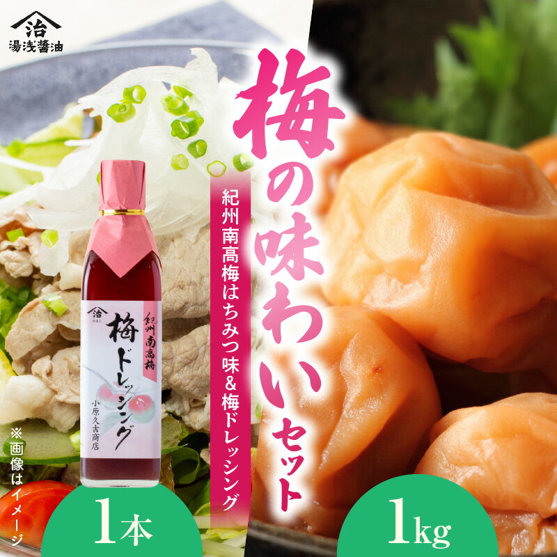 【ふるさと納税】紀州南高梅はちみつ味 1kgと梅ドレッシング