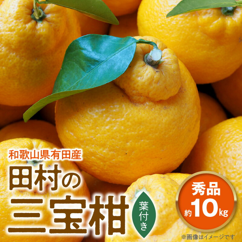 【ふるさと納税】田村の三宝柑（葉付き）秀品 約10kg 和歌山県有田産【ミカン 蜜柑 春みかん 柑橘】のサムネイル
