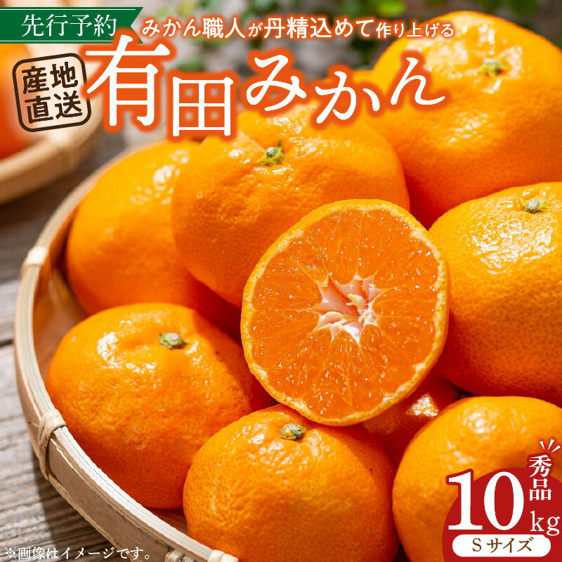 [先行予約] 有田みかん 10kg Sサイズ 産地直送 国産 有田 みかん 温州みかん ブランドみかん 柑橘 果物 フルーツ 果実 程よい酸味 濃厚 コク ジューシー 果汁 ノーワックス 紀伊国屋文左衛門本舗 和歌山県 湯浅町 送料無料