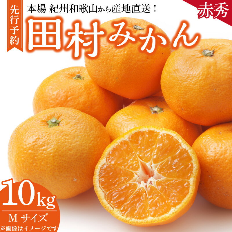 【ふるさと納税】【先行予約】 期間限定 田村みかん 10kg Mサイズ 赤秀 特選 最高ランク 最高ブランド ギフト 贈り物 贈答 濃厚 ジューシー フルーツ 果実 果物 柑橘 みかん ノーワックス 国産 食べ物 産地直送 紀伊国屋文左衛門本舗 お取り寄せ 和歌山県 湯浅町 送料無料のサムネイル