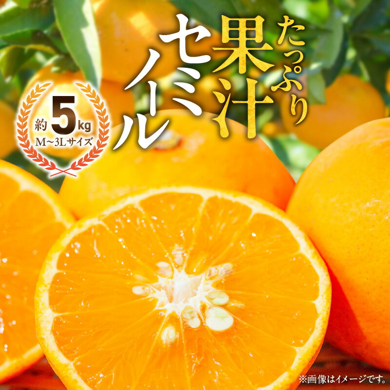 【紀州グルメ市場厳選品】 甘みも酸味もしっかりした濃厚なセミノールをお届けします。 和歌山県のみかん農家がこだわって作ったセミノールです。 セミノールは見た目も美しい濃いオレンジ色で、甘みも酸味もしっかりした濃厚なオレンジです。 外皮は薄く、果肉は果汁をたっぷり含んでおりとってもジューシーです。 一味ちがう自慢のセミノールをぜひご賞味下さい。 名称 セミノール 原産地 和歌山県 内容量 約5kg（M〜3Lサイズ） 賞味期限 出荷日+5日 保存方法 直射日光を避けた風通しの良い冷暗所で保管し、お早めにお召し上がりください。 発送時期 2025年4月中旬頃～2025年5月中旬頃順次発送予定 注意事項 ※サイズはお任せとなります。ご指定は出来ません。 ※画像はイメージです。 ※生もののため、到着時に必ず状態確認をお願いいたします。傷み等ある場合は当日中にご連絡ください。 ※色や個人の食感、味覚について対応はできかねます。 ※北海道、沖縄県、離島への発送はお受けできません。 ※到着希望日（時期）・ご不在日等のご指定は、お受けすることができません。 地場産品基準 1号：当該地方団体の区域内において生産されたものであること。 提供元 紀州グルメ市場 ・ふるさと納税よくある質問はこちら ・寄附申込みのキャンセル、返礼品の変更・返品はできません。あらかじめご了承ください。【注文内容確認画面の「注文者情報」を寄附者の住民票情報とみなします】・必ず氏名・住所が住民票情報と一致するかご確認ください。・受領書は住民票の住所に送られます。・返礼品を住民票と異なる住所に送付したい場合、注文内容確認画面の「送付先」に返礼品の送付先をご入力ください。寄附者の都合で返礼品が届けられなかった場合、返礼品等の再送はいたしません。※「注文者情報」は楽天会員登録情報が表示されますが、正確に反映されているかご自身でご確認ください。