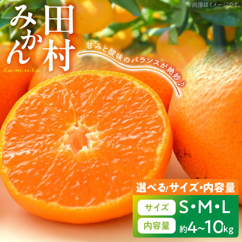 【ふるさと納税】高評価★4.7 田村みかん 選べる サイズ 内容量 S~L 4~10kg 自然 豊か 甘み 酸味 バランス 絶妙 口当たりよい 紀州グルメ市場 厳選 柑橘 みかん 果物 フルーツ 果実 食品 食べ物 おやつ デザート お取り寄せ 和歌山県 湯浅町 送料無料のサムネイル
