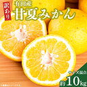 【ふるさと納税】【先行予約】有田産訳ありご家庭用甘夏みかん約10kg(サイズ混合)【甘夏みかん 和歌山県湯浅町】
