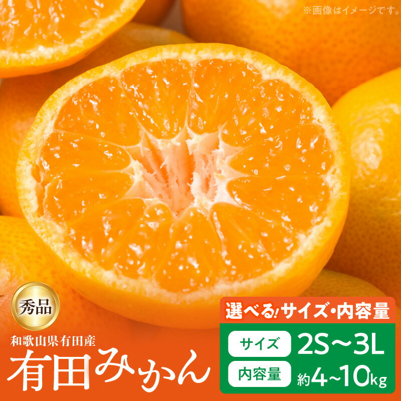 【ふるさと納税】【限定】【2025年