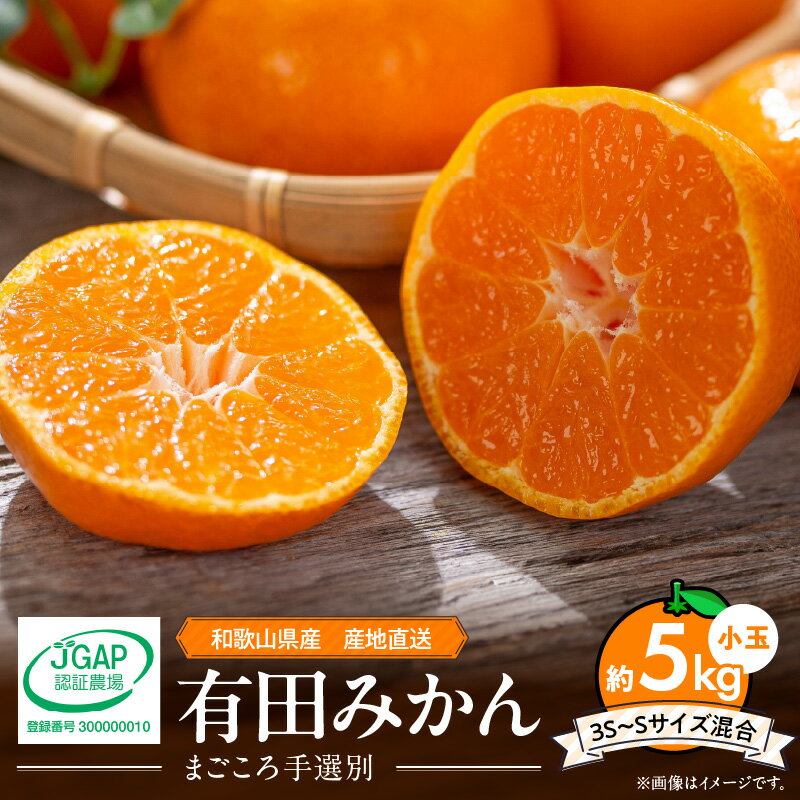 【ふるさと納税】【2025年先行予約】【限定】 和歌山県産 有田みかん 5kg 小玉 (3S～Sサイズ混合) 【まごころ手選別】 【ミカン 蜜柑 温州みかん 柑橘 和歌山 小粒】