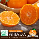 【ふるさと納税】【2025年先行予約】【限定】 和歌山県産 有田みかん 5kg (2S~Sサイズ混合)【まごころ手選別】【ミカン 蜜柑 温州みかん 柑橘 和歌山】